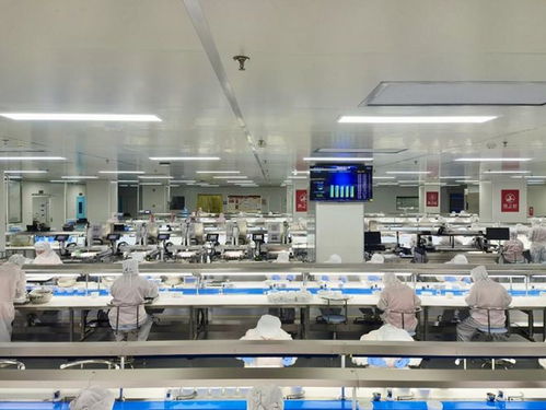 走进燕之屋参观考察 厦门燕之屋智能工厂考察游学预约攻略电话