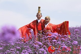 金昌举办汉唐式“爱情盛典” 52对新人“情定花城”