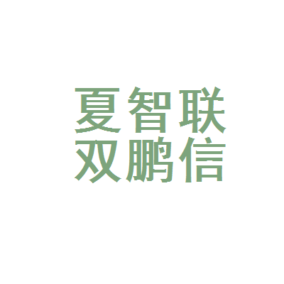 宁夏智联双鹏信息技术服务
